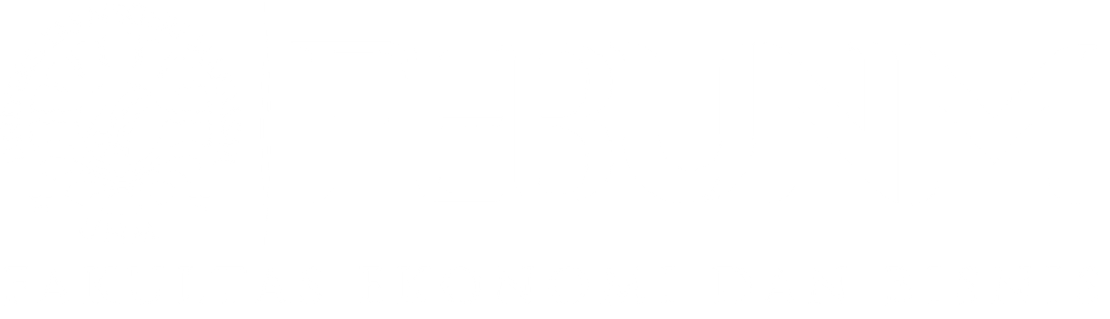 Logo Footer